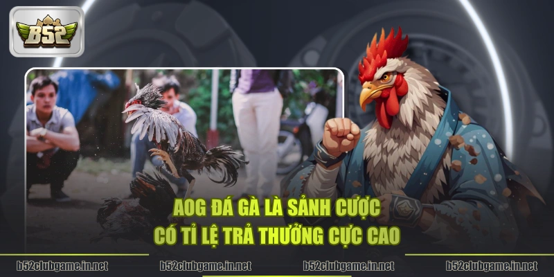 AOG đá gà là sảnh cược có tỉ lệ trả thưởng cực cao