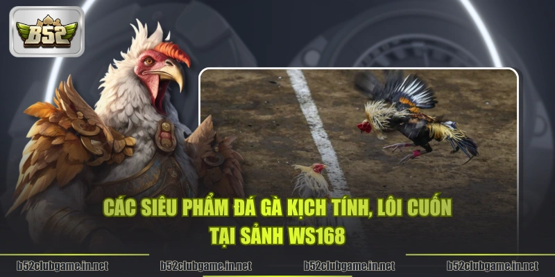 Các siêu phẩm đá gà kịch tính, lôi cuốn tại sảnh WS168