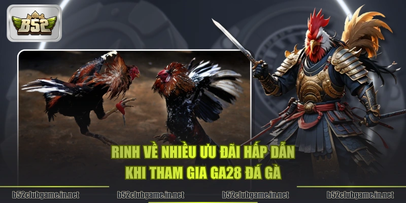 Rinh về nhiều ưu đãi hấp dẫn khi tham gia GA28 đá gà