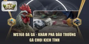 WS168 Đá Gà - Khám Phá Đấu Trường Gà Chọi Kịch Tính